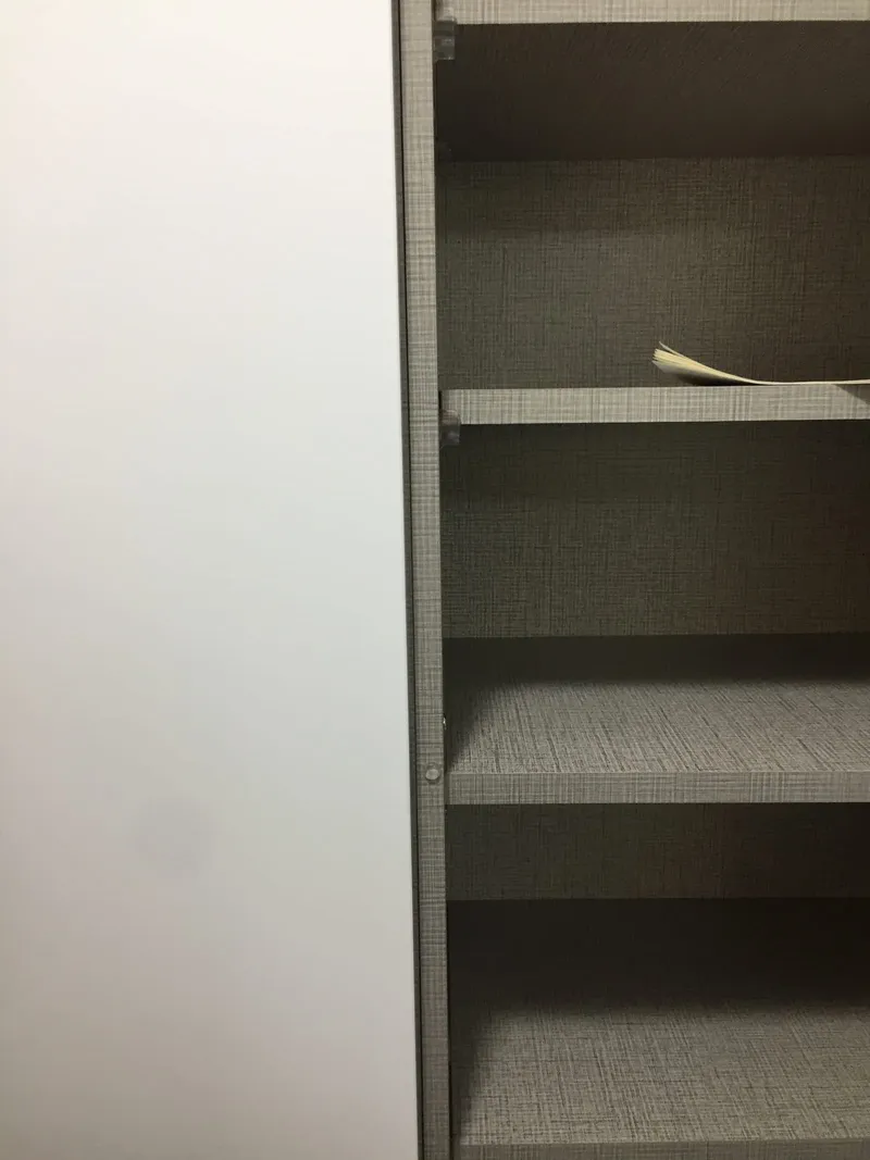 신발장 선반과 흰 문