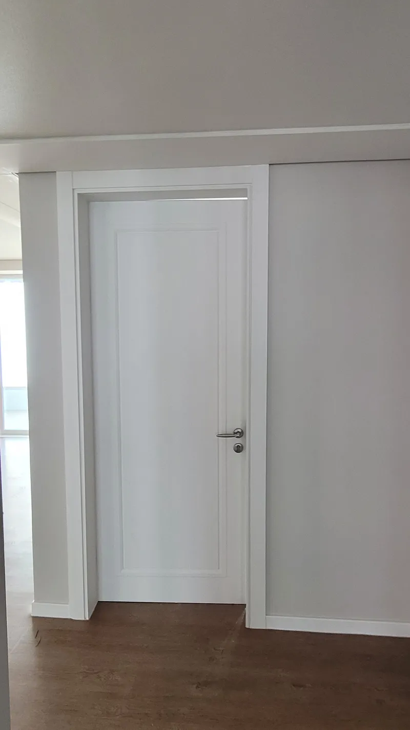 흰 패널 방문